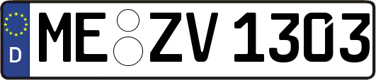 ME-ZV1303