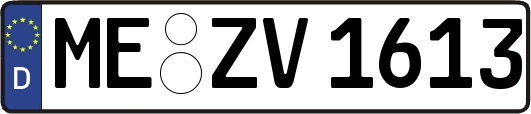 ME-ZV1613