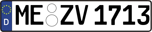 ME-ZV1713
