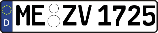 ME-ZV1725