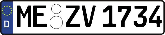 ME-ZV1734