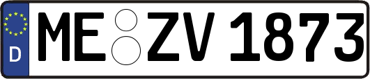 ME-ZV1873