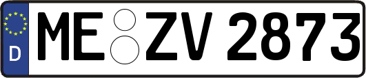 ME-ZV2873