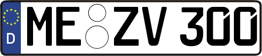 ME-ZV300