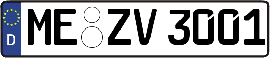 ME-ZV3001