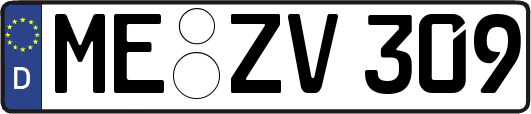 ME-ZV309