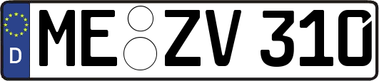 ME-ZV310