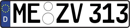 ME-ZV313