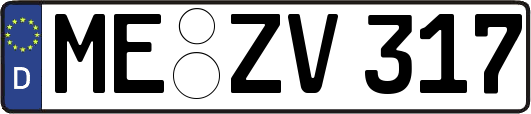 ME-ZV317