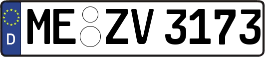 ME-ZV3173