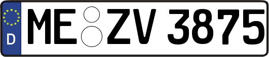 ME-ZV3875