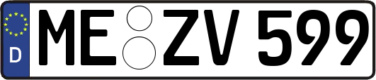 ME-ZV599