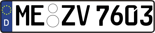 ME-ZV7603