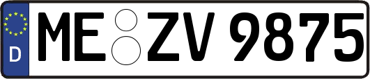 ME-ZV9875