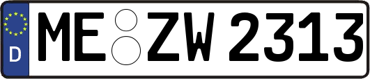 ME-ZW2313