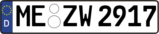 ME-ZW2917