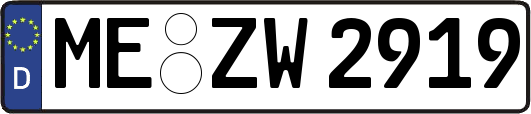 ME-ZW2919