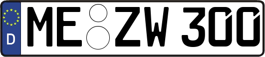 ME-ZW300