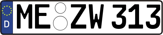 ME-ZW313