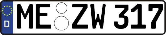 ME-ZW317