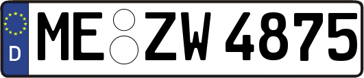 ME-ZW4875