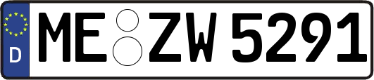 ME-ZW5291