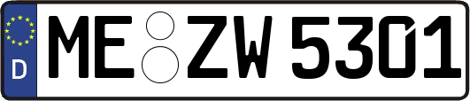 ME-ZW5301