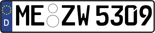ME-ZW5309
