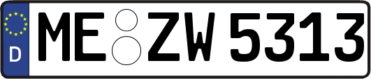 ME-ZW5313