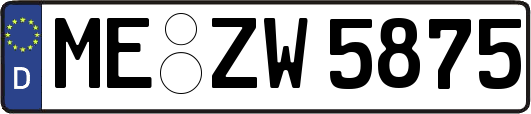 ME-ZW5875