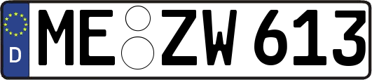 ME-ZW613