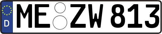 ME-ZW813