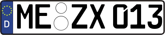 ME-ZX013