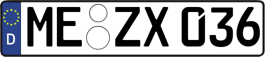 ME-ZX036