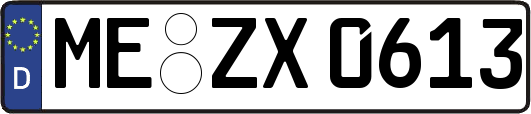 ME-ZX0613