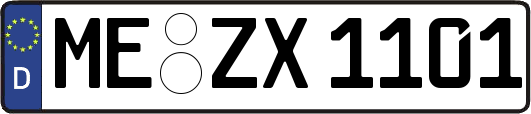 ME-ZX1101