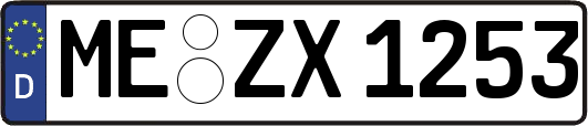 ME-ZX1253