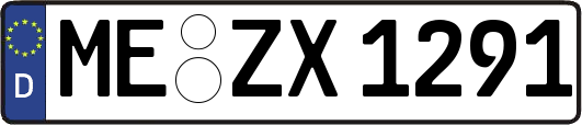 ME-ZX1291