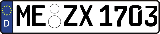 ME-ZX1703