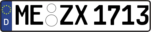 ME-ZX1713