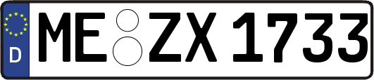 ME-ZX1733