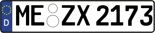 ME-ZX2173
