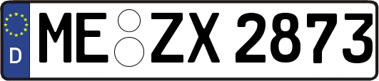 ME-ZX2873