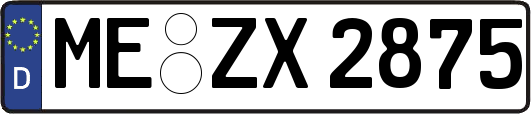 ME-ZX2875