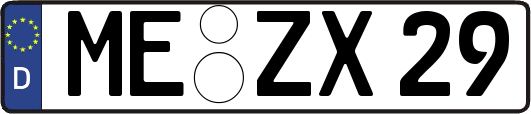 ME-ZX29