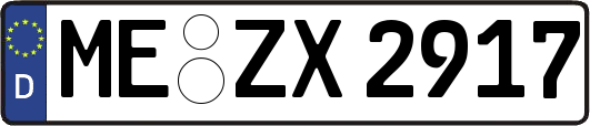 ME-ZX2917