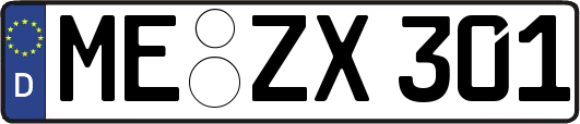 ME-ZX301