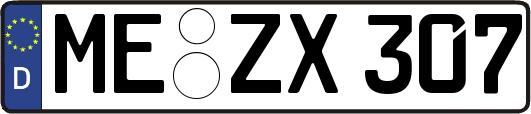 ME-ZX307