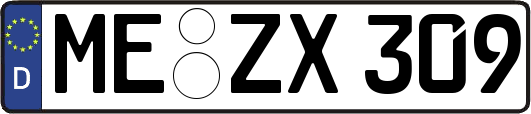 ME-ZX309
