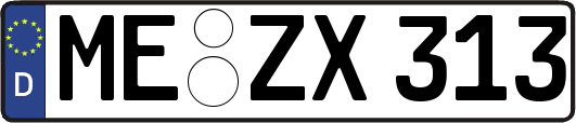 ME-ZX313